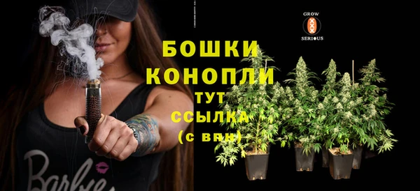 ПСИЛОЦИБИНОВЫЕ ГРИБЫ Богородск
