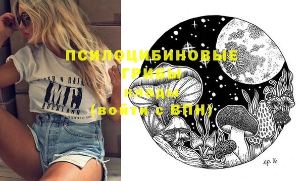 ПСИЛОЦИБИНОВЫЕ ГРИБЫ Богородск