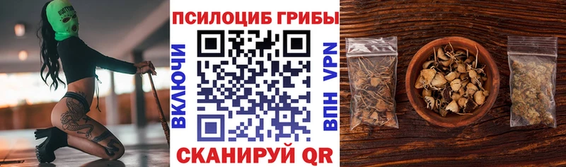 купить Кириши Псилоцибиновые грибы MAGIC MUSHROOMS