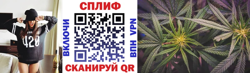 купить закладку  Кириши  МЕГА онион  Бошки Шишки конопля 